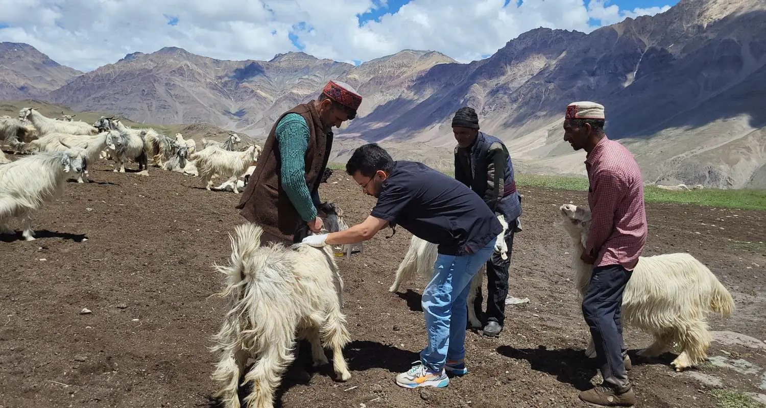 High-altitude Veterinary & Vaccination Camps